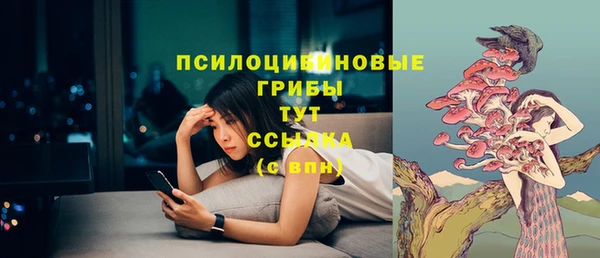 MDMA Premium VHQ Дмитриев